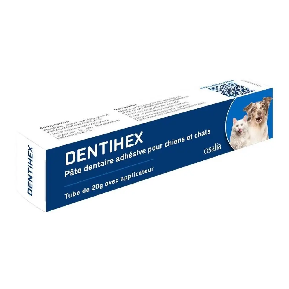 Dentihex Avec Applicateur 60