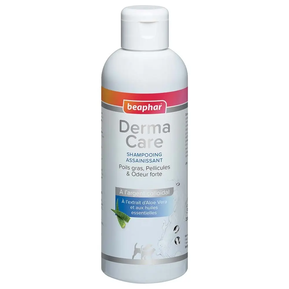 Dermacare Shampoing Assainissant 200