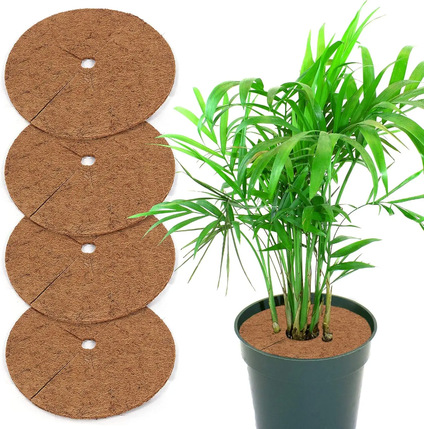 Disque de paillage coco – 4 pièces 30cm, protection pour plantes – Lytech