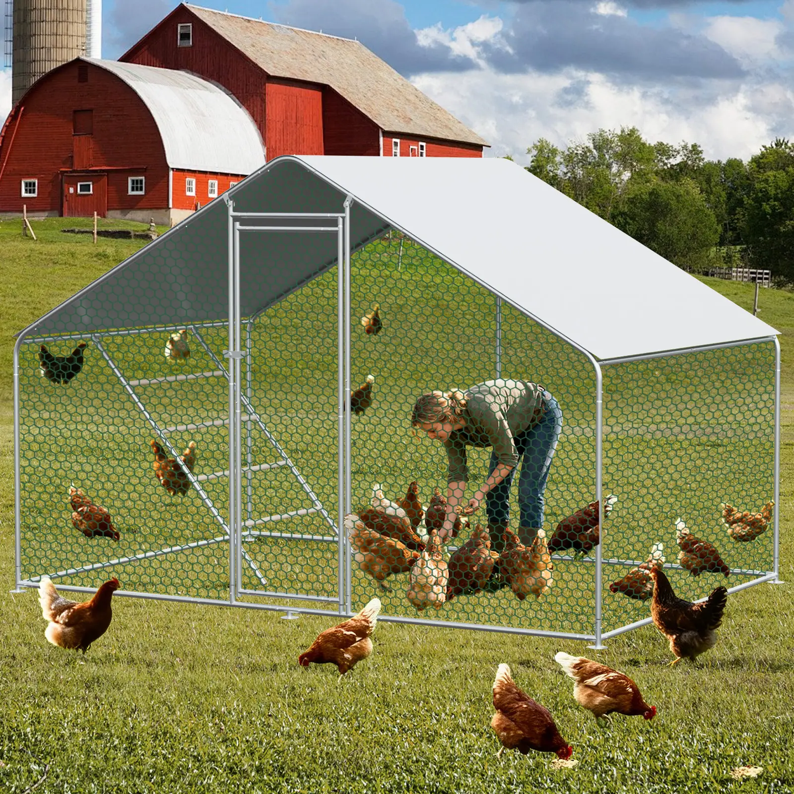 Enclos poulailler 6m² parc grillagé acier galvanisé pour poules protection plein air 3x2m – ComfortXL Outdoor Living