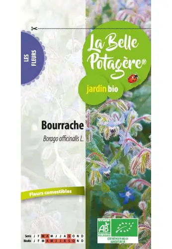 Ecodis – Bourrache officinale 2 g